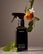 Surface Cleaner Mandarin Basile