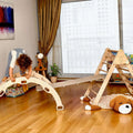 4 Pieces Climbing Set - Climbing Triangle, Arch Rocker, Pillow, and 2in1 Ramp