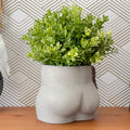 Amethyst Butt Planter
