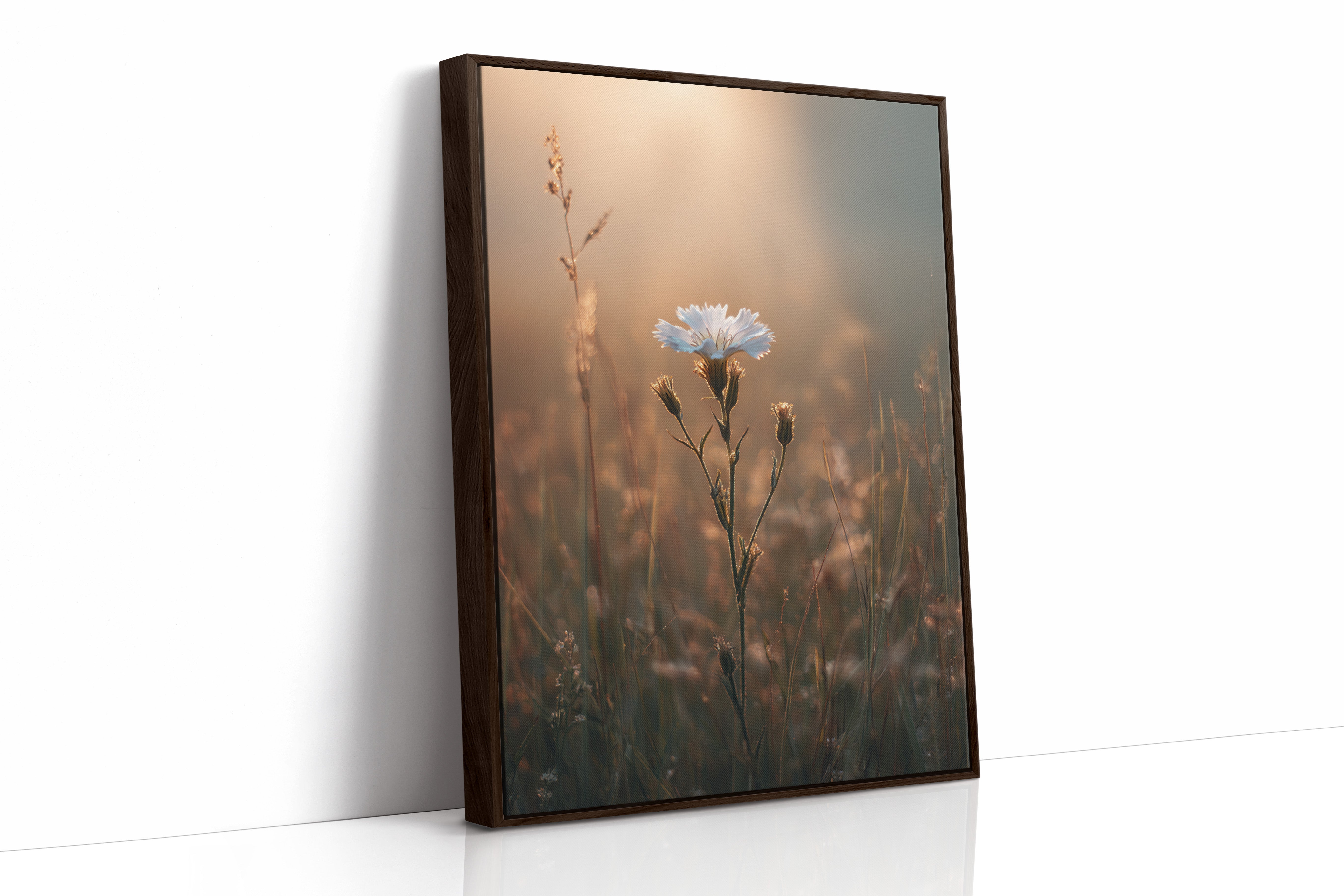 A Single Bloom In Sunrise's Embrace Brown Framed Canvas
