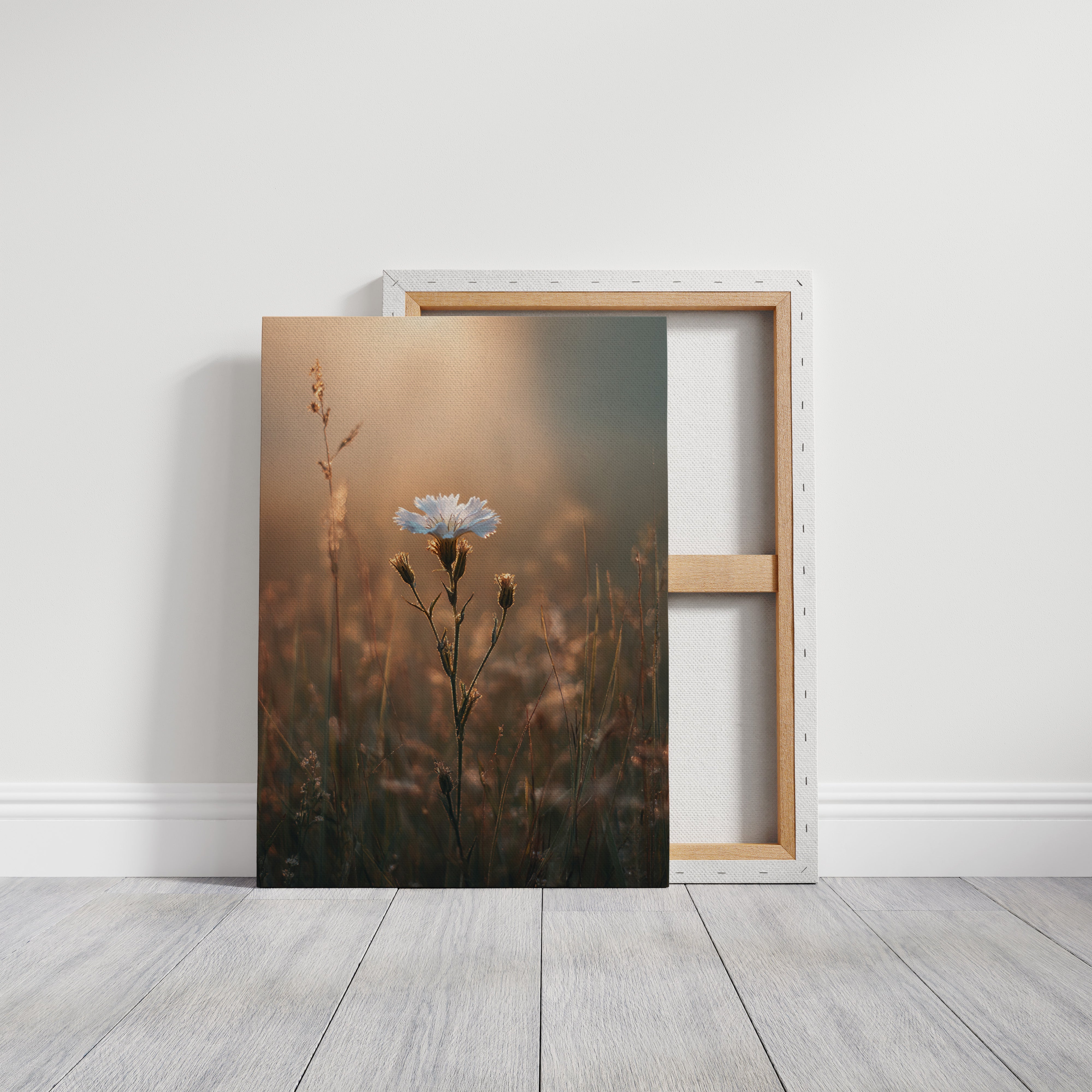 A Single Bloom In Sunrise's Embrace Gallery Canvas