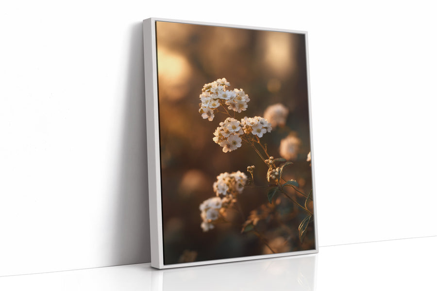 In the Glow of Petal Promises White Framed Canvas