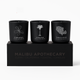 Votive Discovery Set